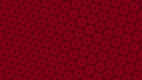 Elegant deep red video pattern with repeating floral motifs and geometric Stock Footage 329951760