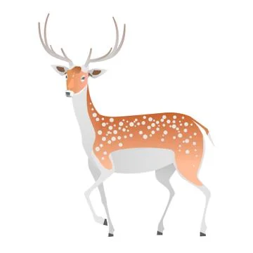 Elegant deer on a white background. Vector isolated animal. Stock Illustration