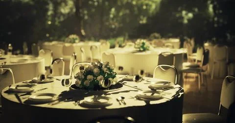 Elegant dining setup for a formal event in a serene garden location Stock Illustration