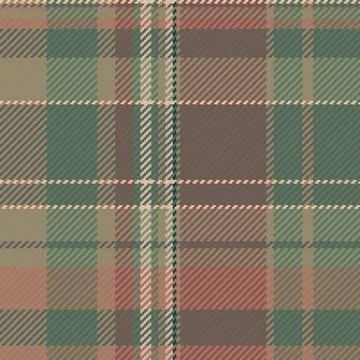 Elegant earthtoned plaid pattern.  Perfect for textile design, fashion, or au Stock Illustration