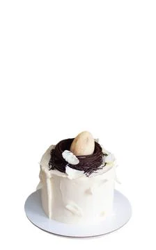 Elegant easter cake decorated with chocolate bird's nest, egg and feathers... Stock Photos