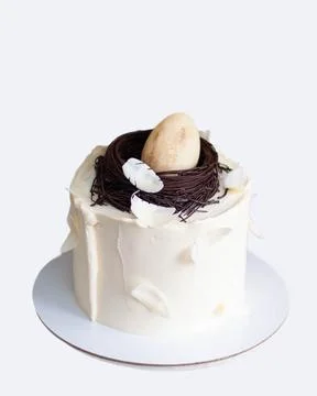 Elegant easter cake decorated with chocolate bird's nest, egg and feathers... Stock Photos