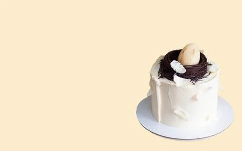 Elegant easter cake decorated with chocolate bird's nest, egg and feathers... Stock Photos