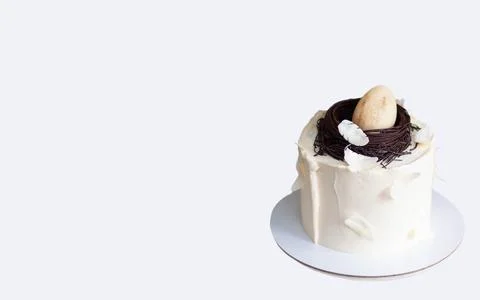 Elegant easter cake decorated with chocolate bird's nest, egg and feathers... Stock Photos