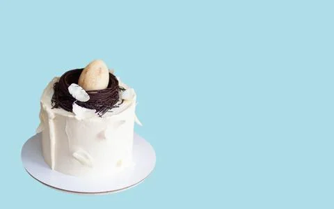 Elegant easter cake decorated with chocolate bird's nest, egg and feathers... Stock Photos
