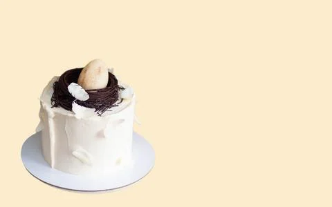 Elegant easter cake decorated with chocolate bird's nest, egg and feathers... Stock Photos