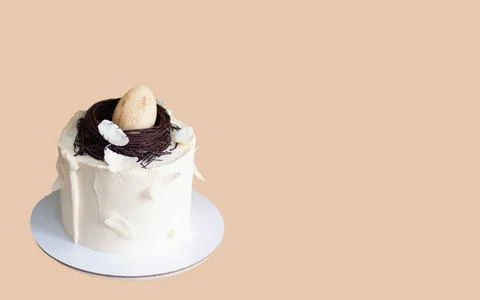 Elegant easter cake decorated with chocolate bird's nest, egg and feathers... Stock Photos