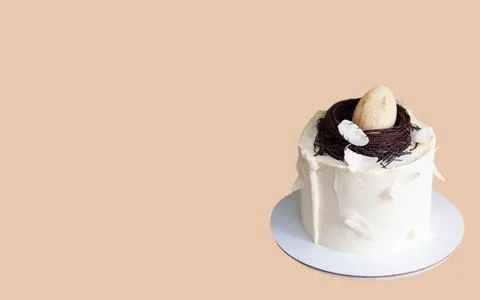 Elegant easter cake decorated with chocolate bird's nest, egg and feathers... Stock Photos