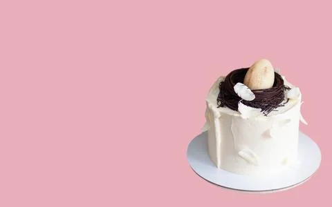 Elegant easter cake decorated with chocolate bird's nest, egg and feathers. P Stock Photos