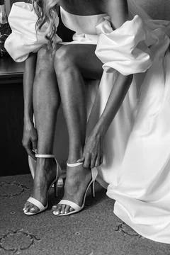 Elegant Elegance 스톡 사진