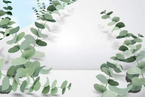 Elegant eucalyptus leaves Illustrazione stock