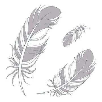 Elegant Feather Like Abstract Textures Stock Illustration