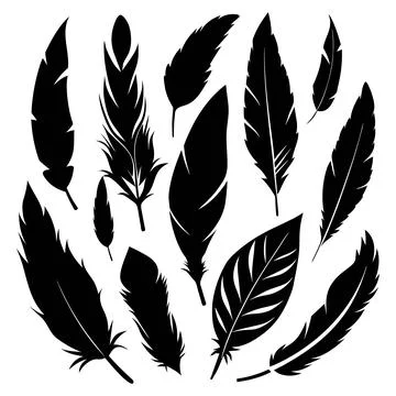 Elegant Feather Silhouettes Vector Set. イラスト素材