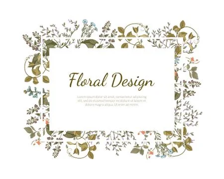 Elegant Floral Design Rectangular Frame with Place for Text, Wedding Invitation Stock Illustration