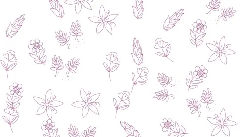 Elegant Floral Pattern Animation with Delicate Line Art. Stock Footage 321844969