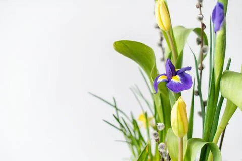 Elegant floral spring, Easter composition of irises, tulips, daffodils and Stock Photos