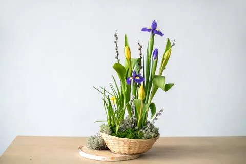 Elegant floral spring, Easter composition of irises, tulips, daffodils and Stock Photos