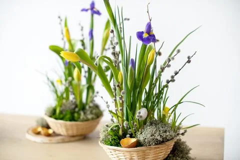 Elegant floral spring, Easter composition of irises, tulips, daffodils and Stock Photos