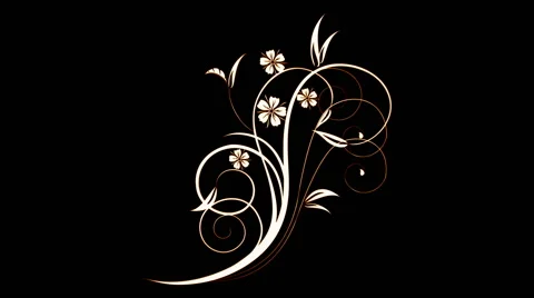 Elegant Flourish decorative element Stock Footage 62709417