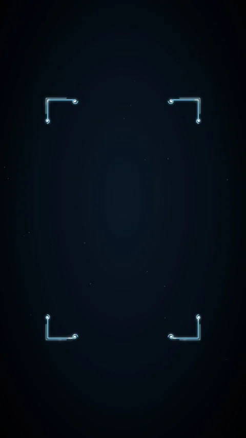 Elegant flourish frame with corners 動画素材 339317029