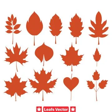 Elegant Foliage  Graceful Leaf Vector Silhouette Designs Stock Illustration