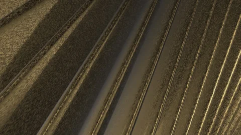 Elegant golden background with linear structure. golden grid pattern Video stock 242656680