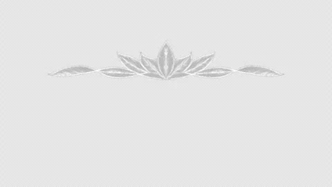 Elegant hand drawn chalk vignette with leaves Stock-Footage 334815089