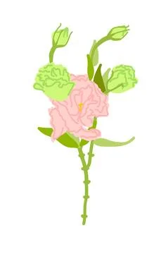 Elegant hand-drawn eustoma flower Stock Illustration