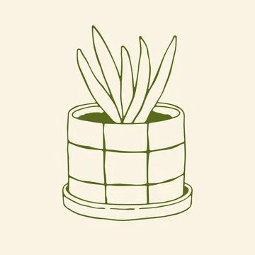 Elegant hand drawn vector sketch of an aloe vera plant in a modern grid pattern 스톡 일러스트
