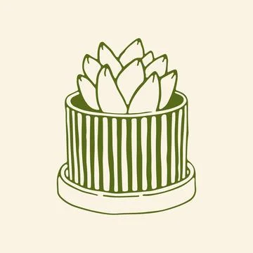 Elegant hand drawn vector sketch of a blooming succulent houseplant in a Stock Illustration