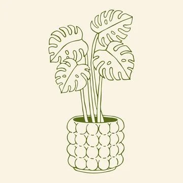 Elegant hand drawn vector sketch of a Monstera Deliciosa in a textured bubble Stock Illustration