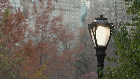 An Elegant Lamp Post Standing Gracefully Amidst Vibrant Autumn Foliage in Urban 動画素材 295076922