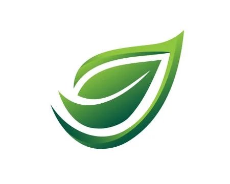 Elegant leaf illustration Stock Illustration