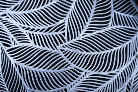 Elegant Leaf Pattern: Metalwork Texture Background for Design Projects Stock-Fotos