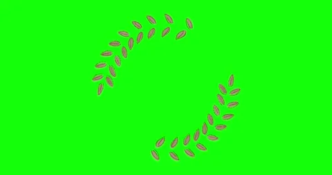 Elegant leaves frame Stock Footage 196516312