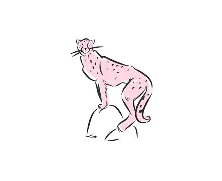 Elegant Leopard Sitting on Rock, Hand Drawn Wild Cat Line Art Illustration 스톡 일러스트