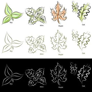 Elegant line leaf set Stock Illustration