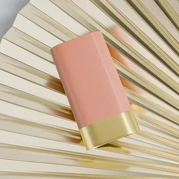 Elegant makeup Foundation Stick packaging mockup Stock Illustration