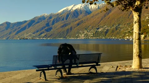 Elegant Man Sitting on a Bench on Alpine Lake with Mountain View in Autumn Stock Footage 165201365
