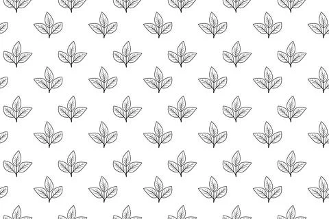 Elegant minimalist leaf pattern.  Simple black line art on white background c Illustrazione stock