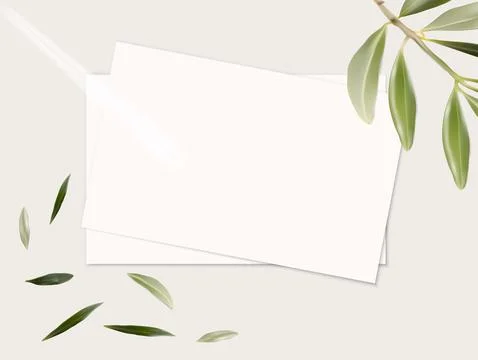 An elegant minimalist vector mockup featuring two clean white cards on a li.. Stock Illustration