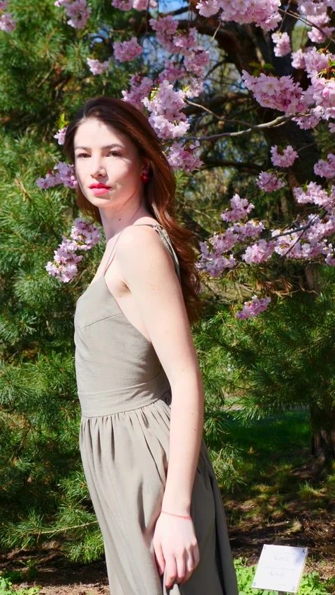 An Elegant Model Amidst Nature Surrounded by Beautiful Cherry Blossoms in Full Video stock 310539627