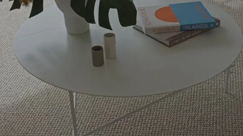 Elegant Modern Coffee Table Indoor Plant Decorative Books Adelaide 3 May 2023 Stock Footage 304092753