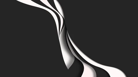 Elegant monochrome capture of shell on dark backdrop Vídeos de archivo 278070304