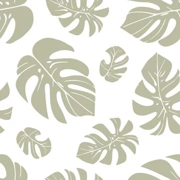 Elegant monstera leaves pattern on a white backdrop. Seamless background 库存插图