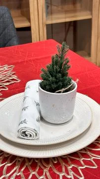 Elegant New Years table setting with decorative plates, napkins, and a back.. Stock Photos