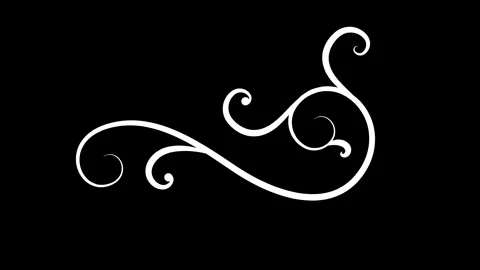 Elegant Ornamental Flourish Line Animation on Black Background Video stock 341753661