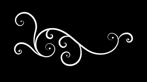 Elegant Ornamental Flourish Line Animation on Black Background 스톡 동영상 341753666