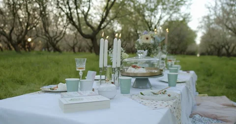 An Elegant Outdoor Picnic Table Setup Enjoying a Charming Orchard Amidst Natures Stock Footage 305647165