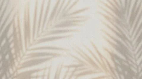 Elegant Palm Leaf Abstract Texture Pattern. Illustrazione stock